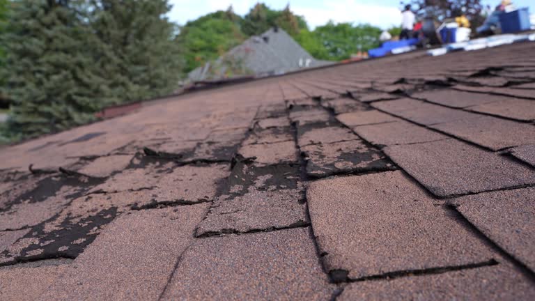 Best Chimney Flashing Repair  in Windsor Heights, IA